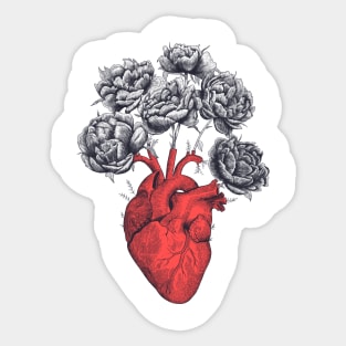 Heart with peonies Sticker